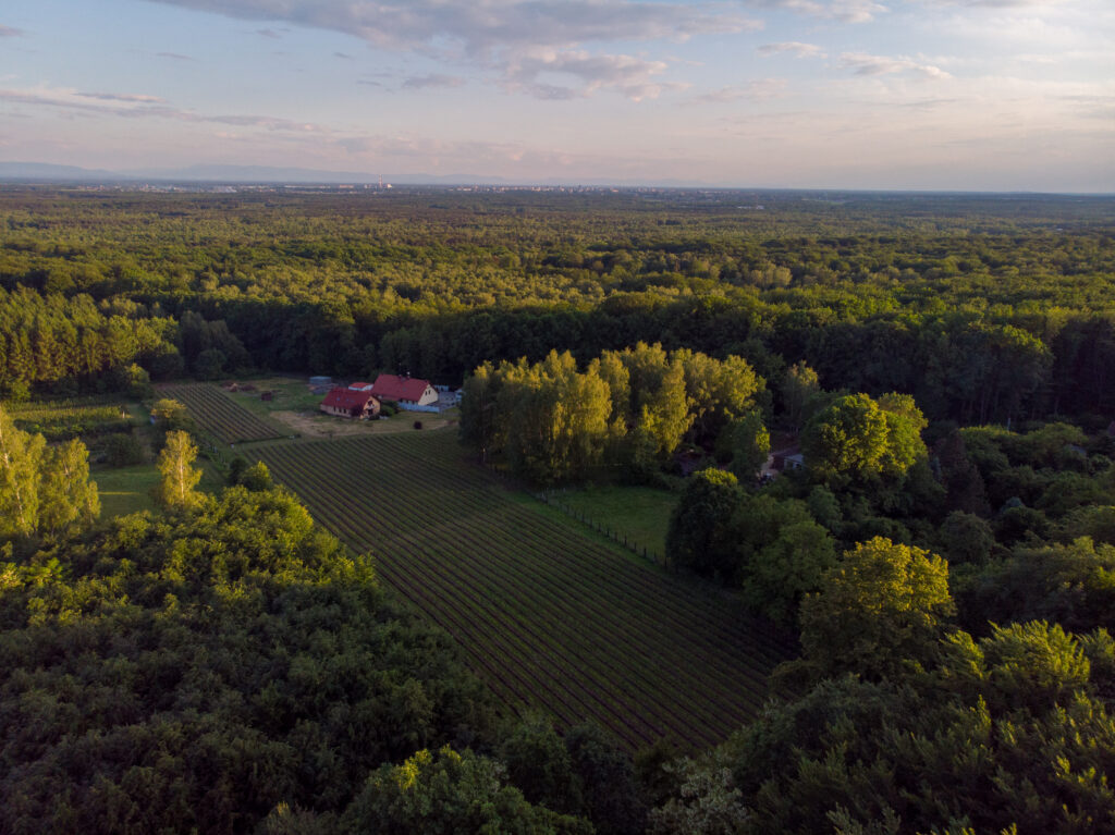 DJI_0400